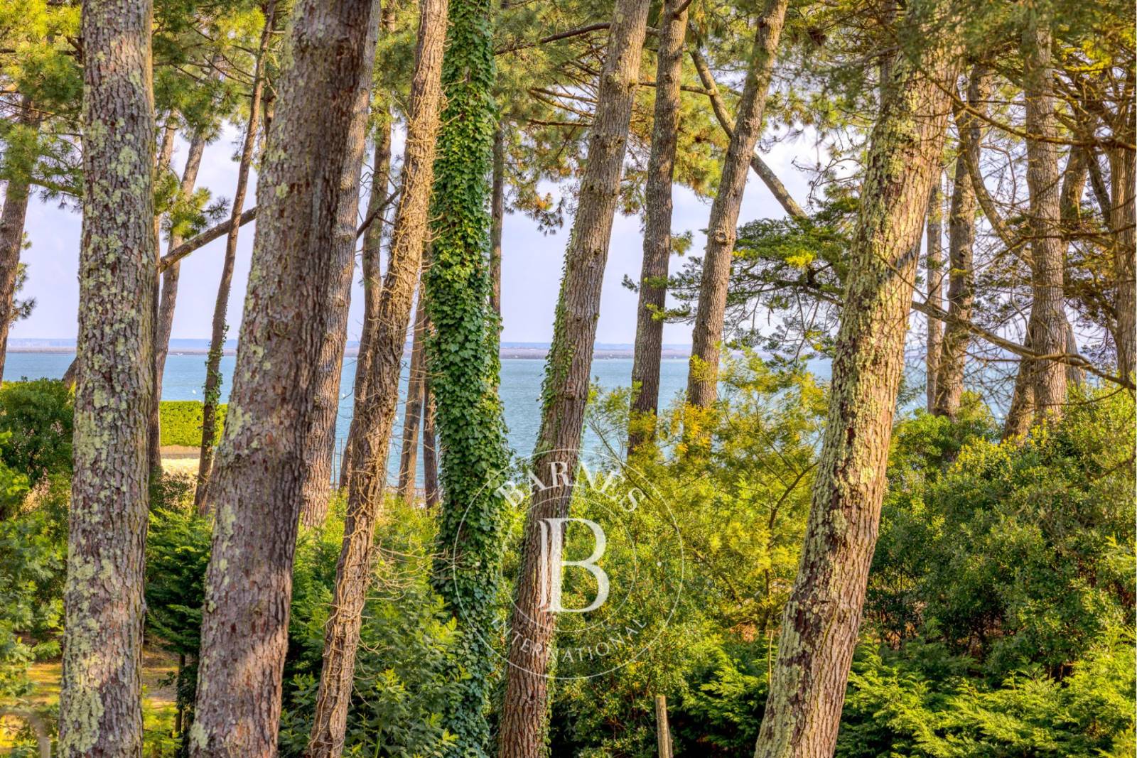 location saisonnière haut de gamme quartier des Américains Cap Ferret