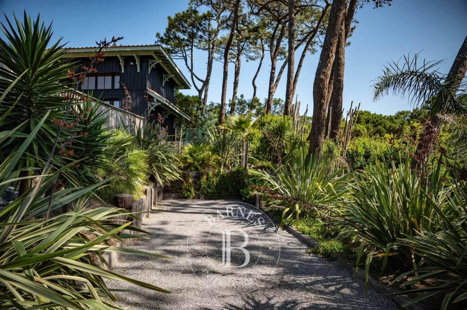 VILLA « AGAPANTHES » SITUÉE AU CENTRE DU CAP FERRET, AVEC PISCINE CHAUFFÉE ET BOULODROMME – CAPACITÉ 8 À 10 PERSONNES