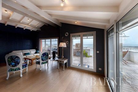 LOCATION SAISONNIERE APPARTEMENT POUR 3 CHAMBRES AVEC VUE SUR LE BASSIN D'ARCACHON