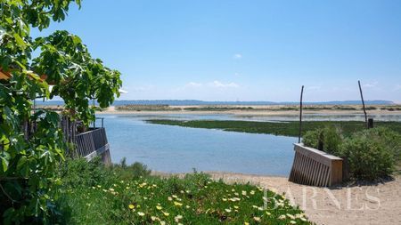 villa a louer cap ferret 4 chambres